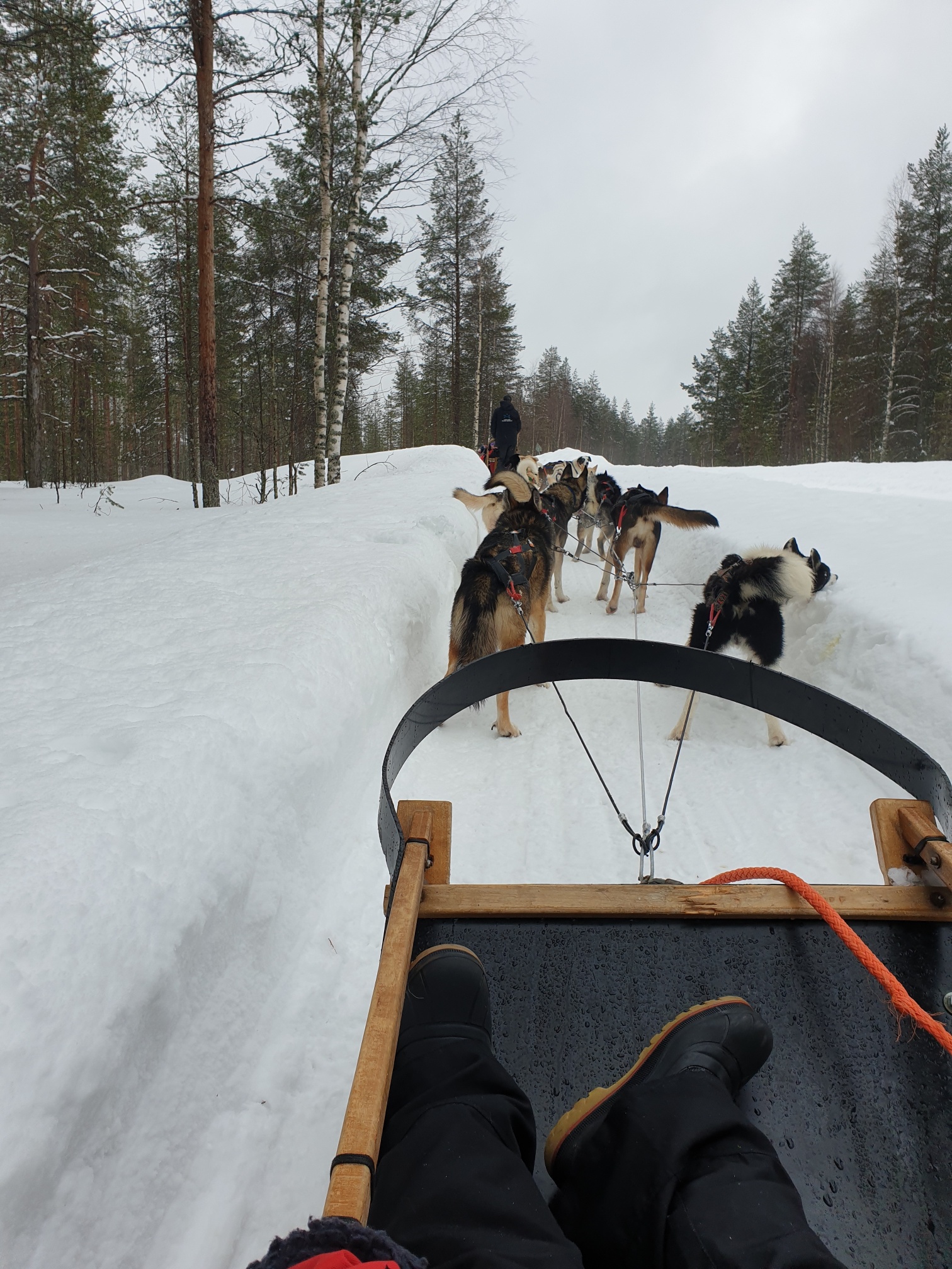 20190317_151653_resized