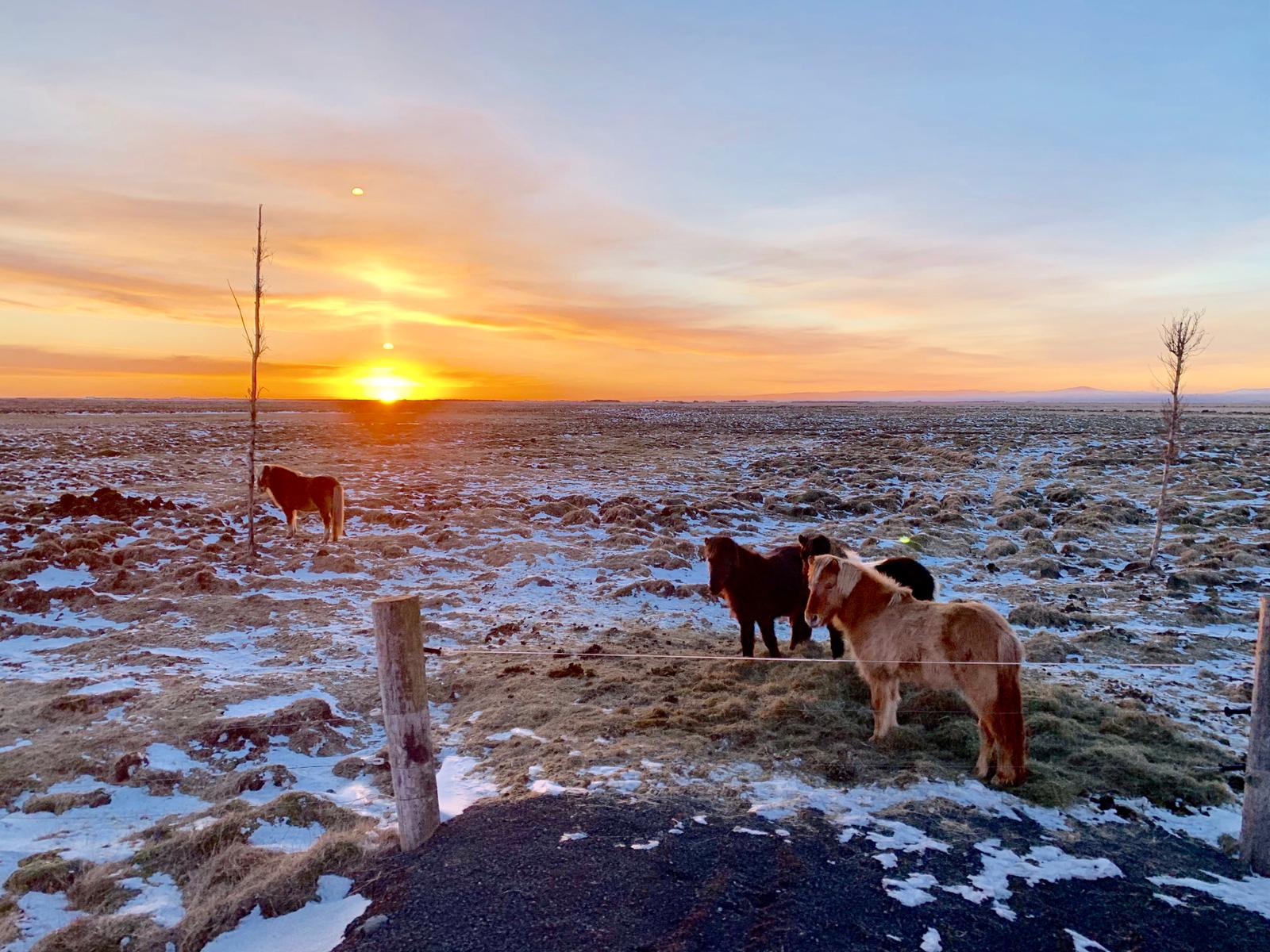 IMG-20190315-WA0015