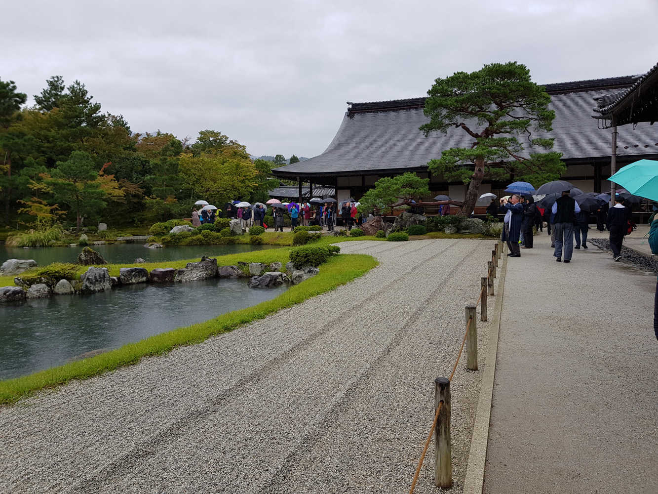 Japan web 15