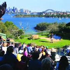 Taronga harbour view