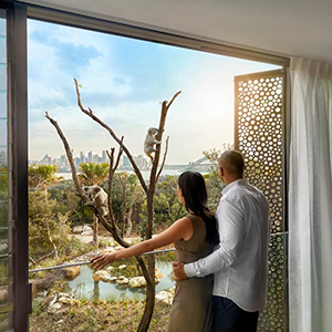 Taronga room with view