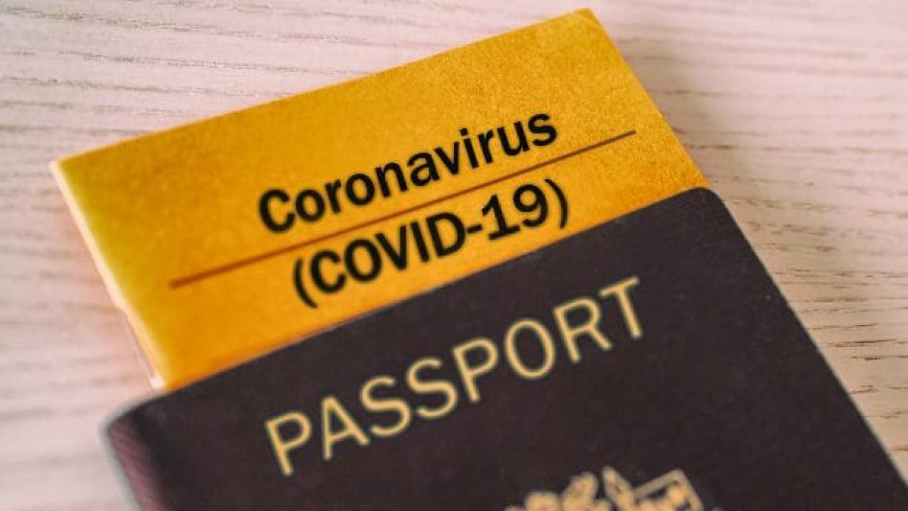 COVID-19 vaccine rollout renews hopes international travel could return within months